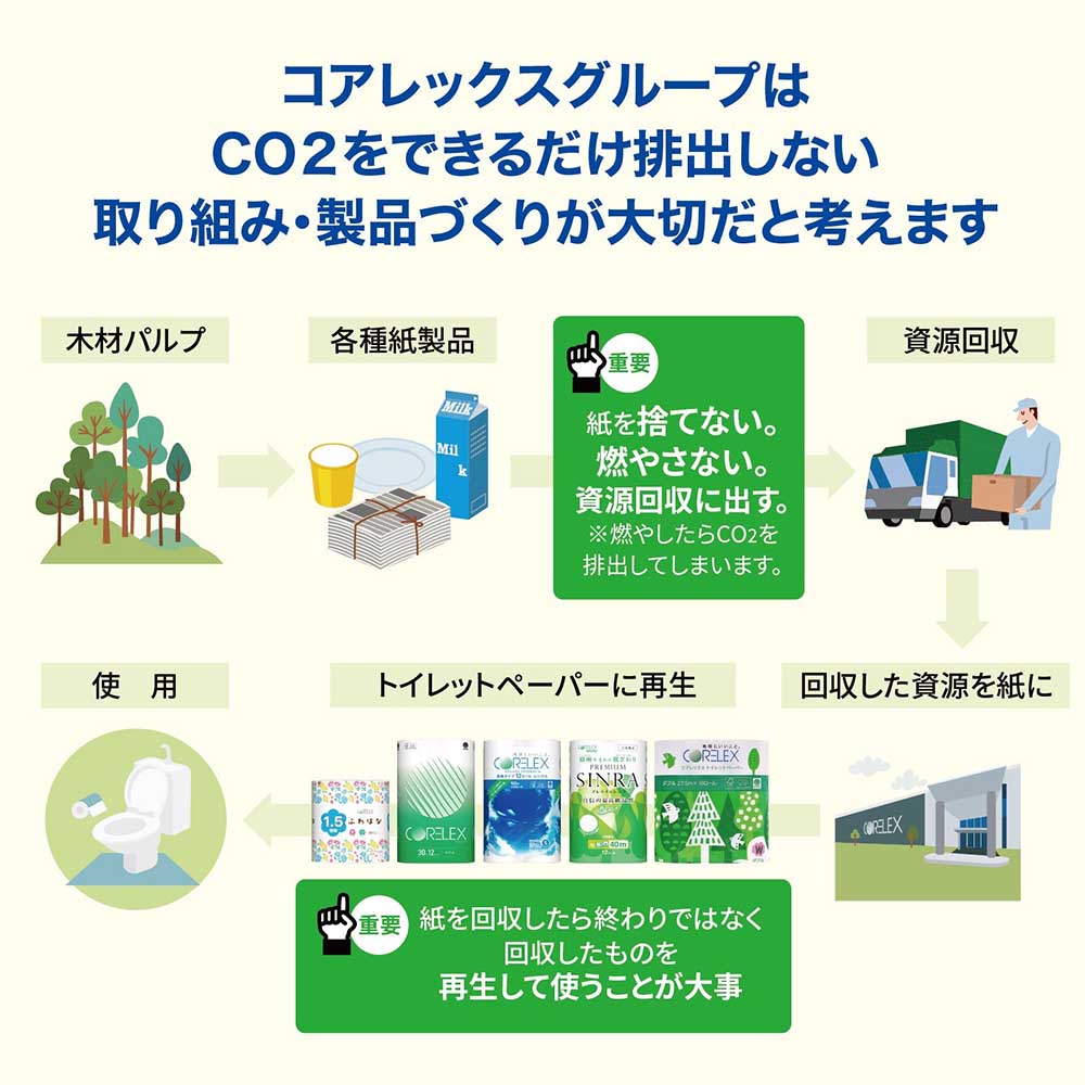 【細穴タイプ】信栄コアレス ダブル 65m|6ロール|10パック(芯なし・細穴)