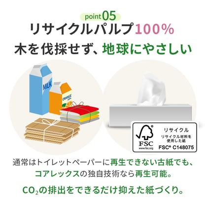 【公式最安値】 花いっぱいティシュー 200組｜60パック（6パック×10入） かわいい花柄
